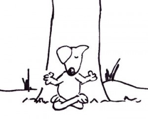 zen dog lrgr pic-clear background