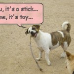 Life Basics: The simplest are often the most fun!